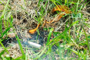 Cigarette causing a dangerous fire on the forest