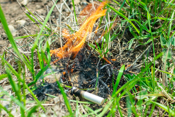 Cigarette causing a dangerous fire on the forest