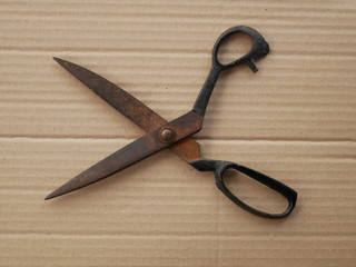 old scissors on wooden background