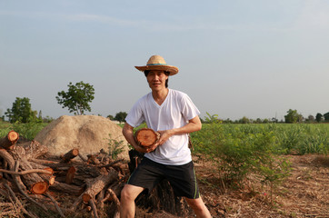 Man farmer standing and carrying timber beside the stack of firewood in the sugarcane farm and...