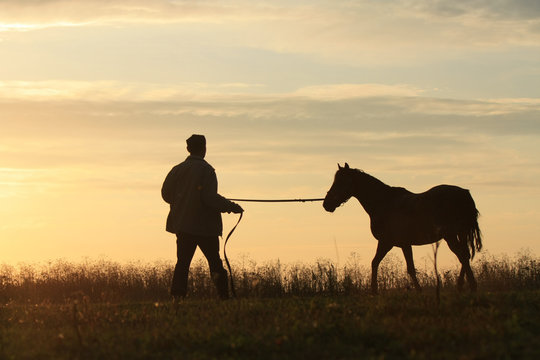 Man and horse silhouette in summer field in the early morning at sunrise