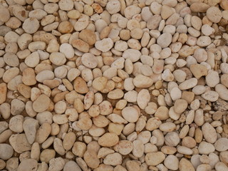 white pebbles on the beach stone background