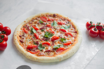 Pizza with mozzarella, tomatoes and meat