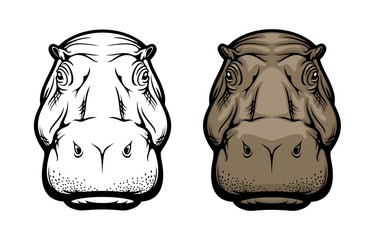 Hippopotamus, hippo wild African animal face icon