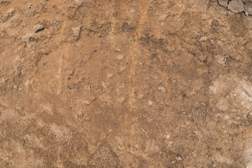 Grunge texture of red dry clay. Close up of dirt soil background