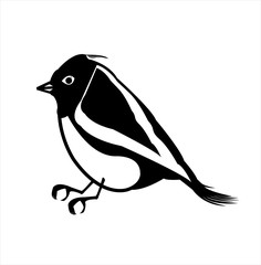canary bird vector