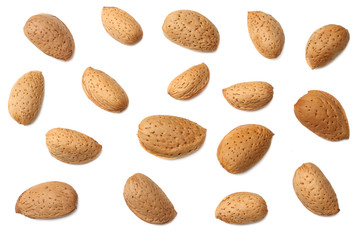 almonds isolated on white background top view