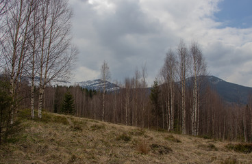 Rest in the Carpathians, Hiking in the mountains Gorgany