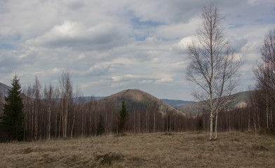Rest in the Carpathians, Hiking in the mountains Gorgany
