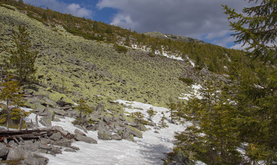 Rest in the Carpathians, Hiking in the mountains Gorgany