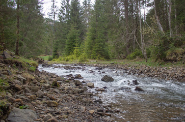 Rest in the Carpathians, Hiking in the mountains Gorgany