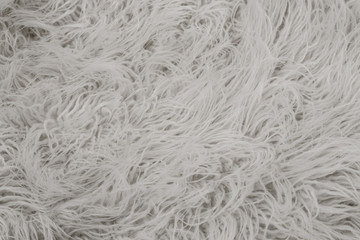 Texture of white shaggy fur.
