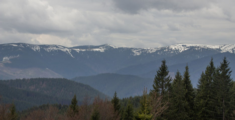Rest in the Carpathians, Hiking in the mountains Gorgany