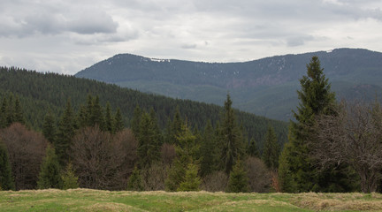 Fototapeta na wymiar Rest in the Carpathians, Hiking in the mountains Gorgany
