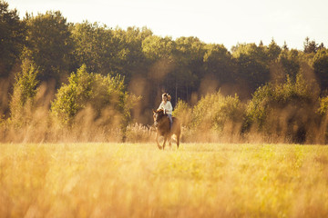 Fototapeta na wymiar Young girl goes sorrel horse riding in field