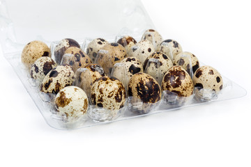 Quail eggs in plastic packaging close-up on white background