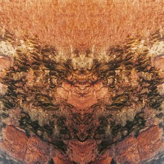 Face of nature from riff in Bali