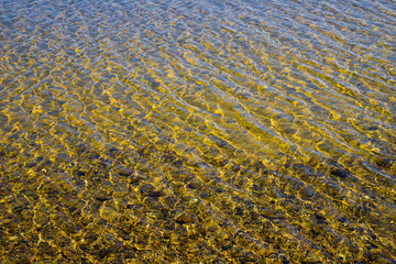 Transparent water surface with ripples through which the sandy bottom with pebbles is visible
