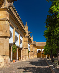 Fototapeta na wymiar Garden of the Mezquita in Cordoba, Spain