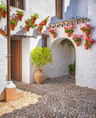 Nice patio with flowers in Cordoba, Spain