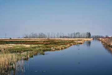 Water and plants in Groningen