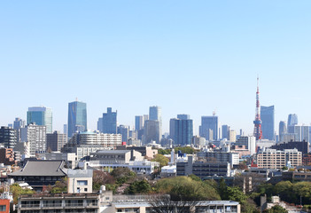 Fototapeta na wymiar Aerial view on Tokyo, Japan