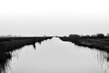 Water and plants in Groningen