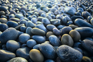 colored stones round the sea / texture wet rounded stones, wet multi-colored summer background