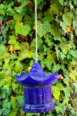 Blue ceramic lantern on ivy background portrait image