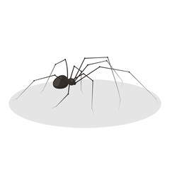 Black spider icon. Halloween design vector illustration