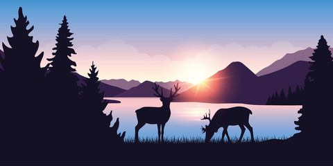 two moose graze by the river in the forest at sunrise vector illustration EPS10