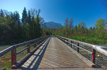 Obraz premium wooden bridge in the forest