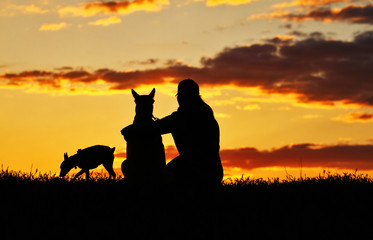 Fototapeta na wymiar Silhouettes girl and two dogs at sunset, a breed of Belgian Shepherd dog Malinois and a miniature pinscher dog, an incredibly beautiful sunset, best friends together
