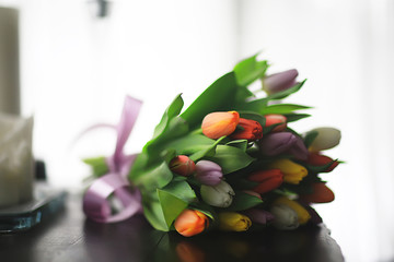 Fototapeta na wymiar bouquet of colorful tulips / spring flowers, bright beautiful flowers, spring gift concept