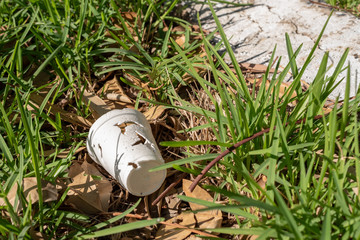 styrofoam cup in some grass in a park 
