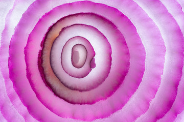 Red onion slice pattern like concentric rings