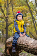 A little boy sits on a fallen tree trunk