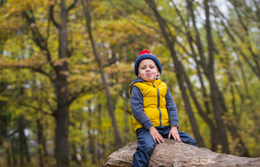 A little boy sits on a fallen tree trunk
