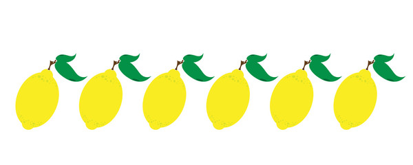 Painted vector illustration of lemons on white background. Symbol of fruit, food,vegetarian,vegan.