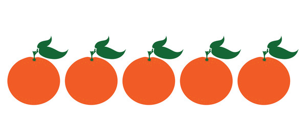 Painted vector illustration of oranges on white background. Symbol of fruit, food,vegetarian,vegan.