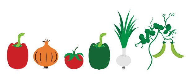 Painted vector illustration of vegetable on white background. Symbol of pepper, onion,tomate,pea, food,vegetarian,vegan.