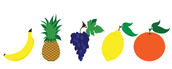 Painted vector illustration of fruits on white background. Symbol of banana,pineapple,grapes,lemon,orange,food,vegetarian,vegan.