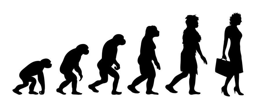 Painted theory of evolution of woman. Vector silhouette of homo sapiens. Symbol from monkey to businesswoman.