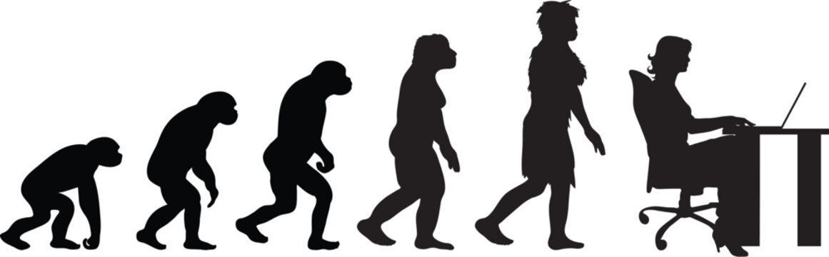 Painted theory of evolution of man. Vector silhouette of homo sapiens. Symbol from monkey to businesswoman.