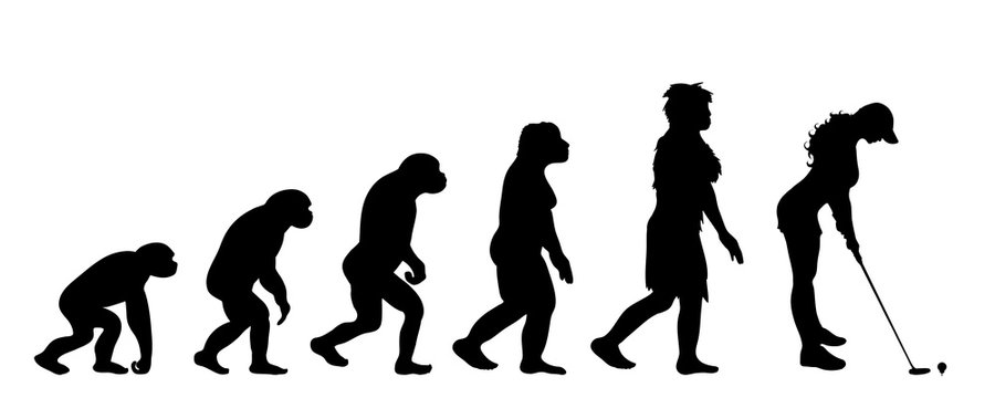Painted theory of evolution of woman. Vector silhouette of homo sapiens. Symbol from monkey to golf player.