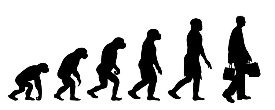 Painted theory of evolution of woman. Vector silhouette of homo sapiens. Symbol from monkey to shopping.