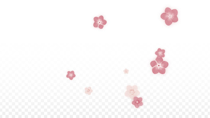 Vector Realistic Pink Flowers Falling on Transparent Background.  Spring Romantic Flowers Illustration. Flying Petals. Sakura Spa Design. Blossom Confetti. Design Elements for Wedding Decoration.