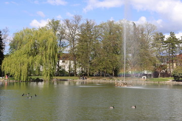 Ville de Lons Le Saunier - France - Parc Edouard Guenon - Fontaine - Jet d'eau avec un arc en ciel