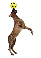 3D Rendering Brindle Grat Dane Dog on White