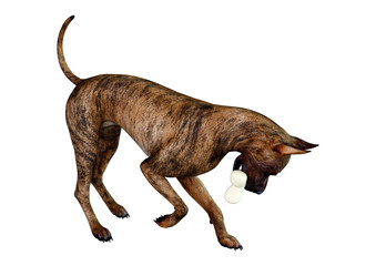 3D Rendering Brindle Grat Dane Dog on White